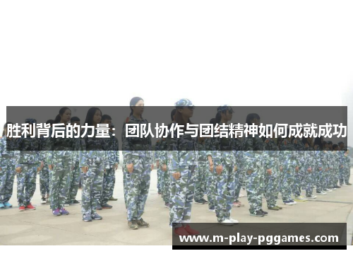 胜利背后的力量：团队协作与团结精神如何成就成功